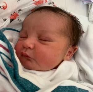 Meet your Posher, Pete